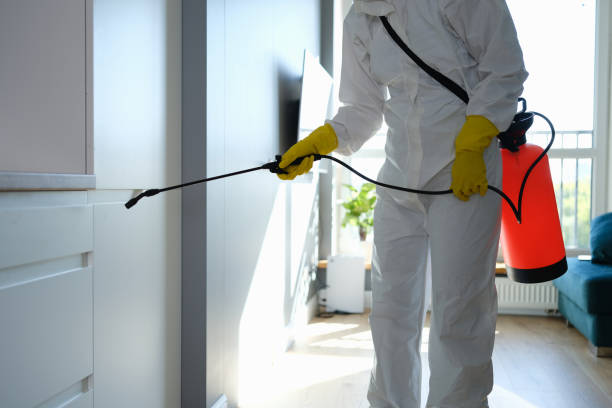 Best Mold Damage Repair  in Weston, MO