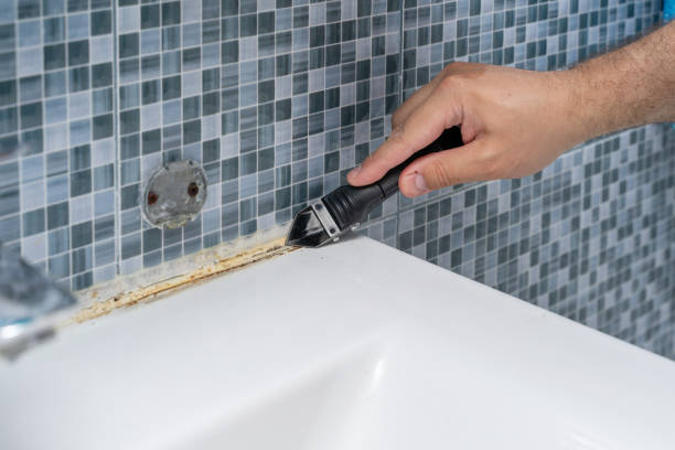 Professional Mold Removal in Weston, MO